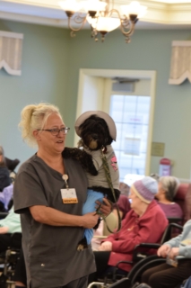 Pet Parade 1 17 25 74