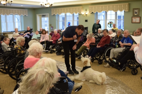 Pet Parade 1 17 25 9