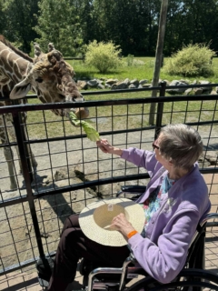 Keystone Safari website 11