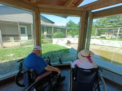 Keystone Safari website 12