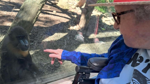 Keystone Safari website 14