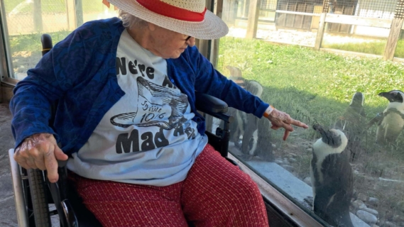 Keystone Safari website 15