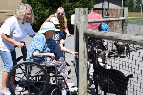 Keystone Safari website 15 1