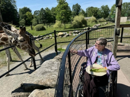 Keystone Safari website 16