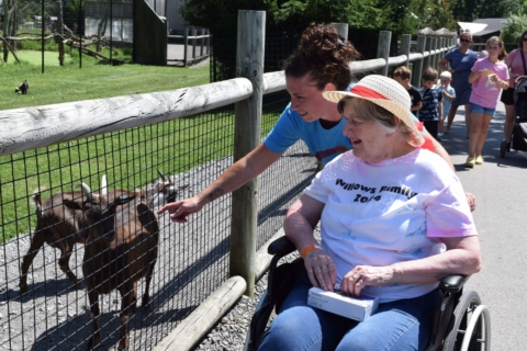 Keystone Safari website 16 1