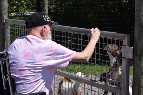 Keystone Safari website 17