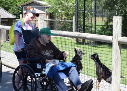 Keystone Safari website 19