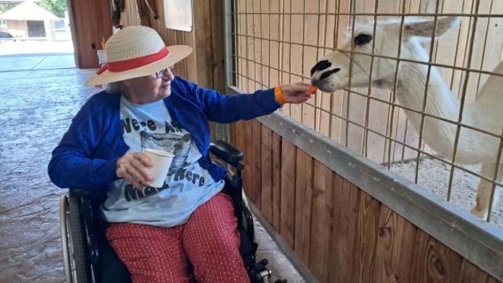 Keystone Safari website 2