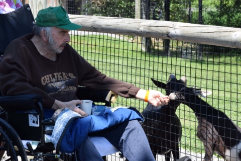 Keystone Safari website 20