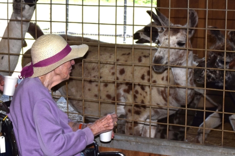 Keystone Safari website 21