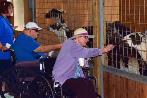 Keystone Safari website 22