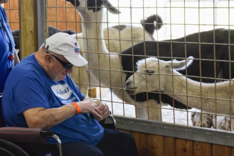 Keystone Safari website 23