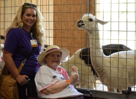 Keystone Safari website 24