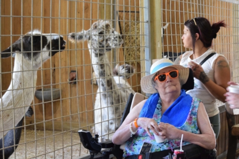 Keystone Safari website 25