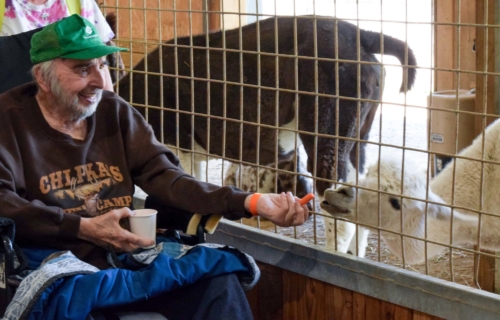 Keystone Safari website 26