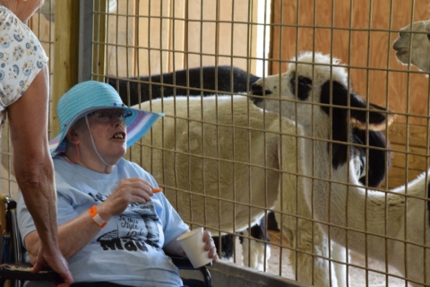 Keystone Safari website 27