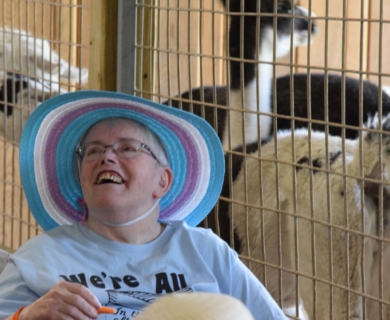 Keystone Safari website 28