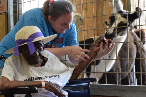 Keystone Safari website 29