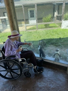 Keystone Safari website 3