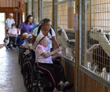 Keystone Safari website 30