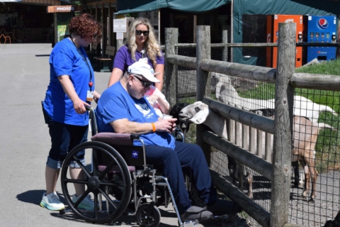 Keystone Safari website 31