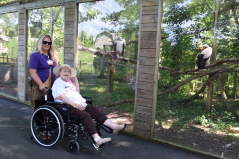 Keystone Safari website 33