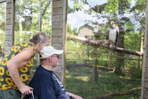 Keystone Safari website 35