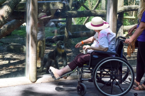 Keystone Safari website 37