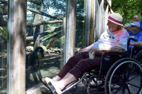 Keystone Safari website 38