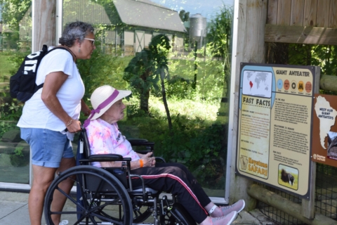 Keystone Safari website 39