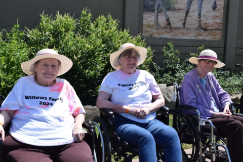 Keystone Safari website 3 1