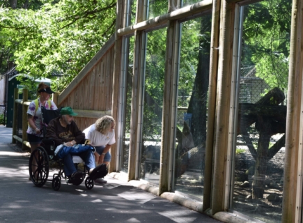 Keystone Safari website 40