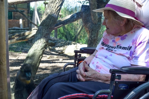 Keystone Safari website 43