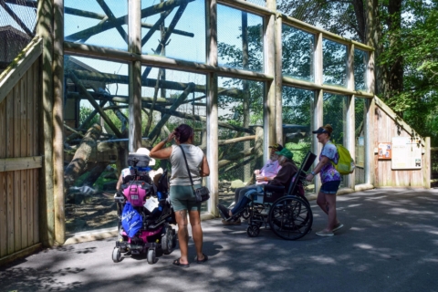 Keystone Safari website 45