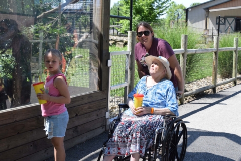 Keystone Safari website 46