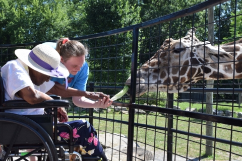 Keystone Safari website 48