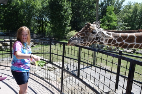 Keystone Safari website 49