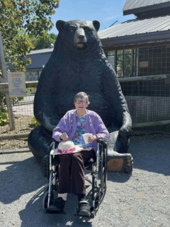 Keystone Safari website 5