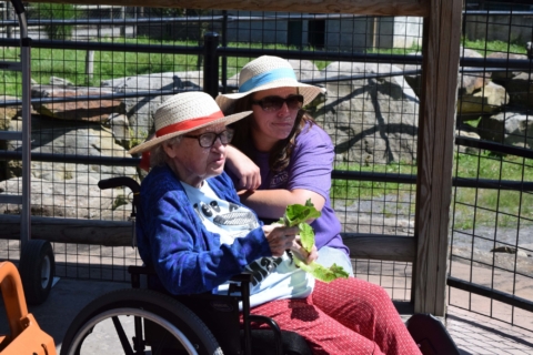 Keystone Safari website 50