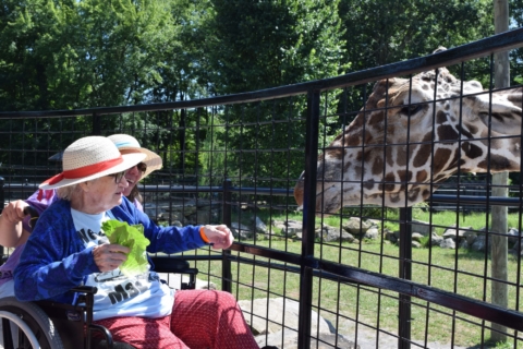 Keystone Safari website 51