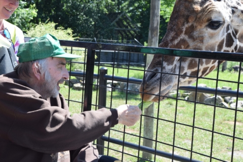 Keystone Safari website 52