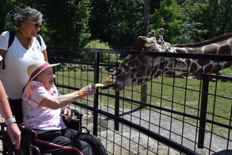 Keystone Safari website 59