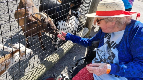 Keystone Safari website 6