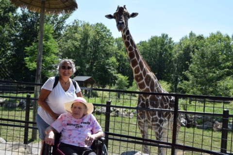 Keystone Safari website 60