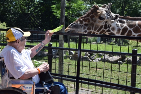 Keystone Safari website 62