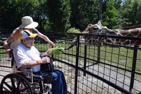 Keystone Safari website 64