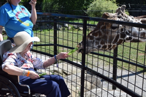 Keystone Safari website 67