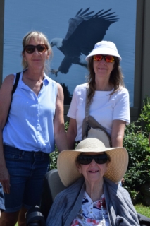 Keystone Safari website 6 1