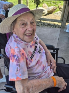 Keystone Safari website 7