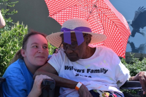 Keystone Safari website 7 1